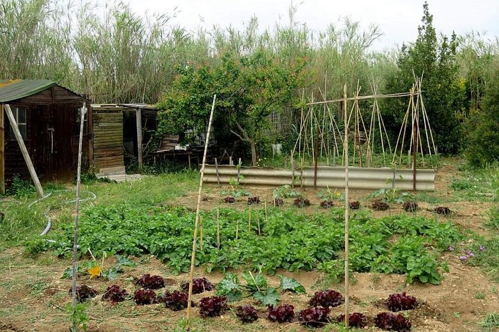 Jardins DE la Sagne EN Peril