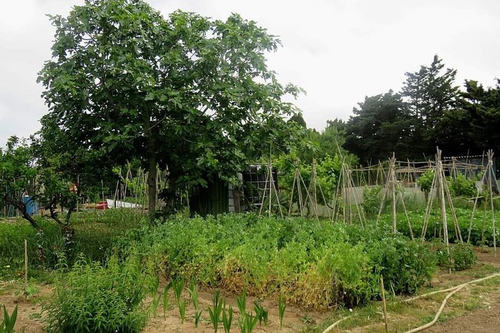 Jardins DE la Sagne EN Peril