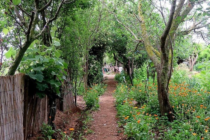 Jardins DE la Sagne EN Peril