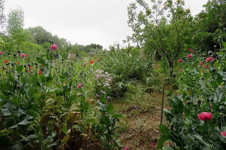 Jardins DE la Sagne EN Peril