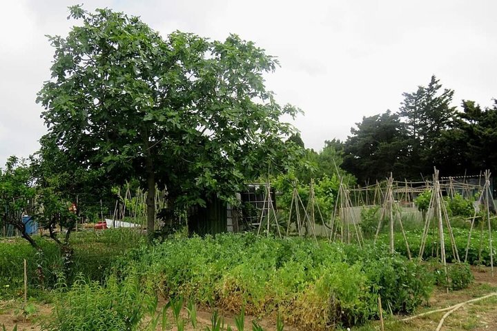 Jardins DE la Sagne EN Peril