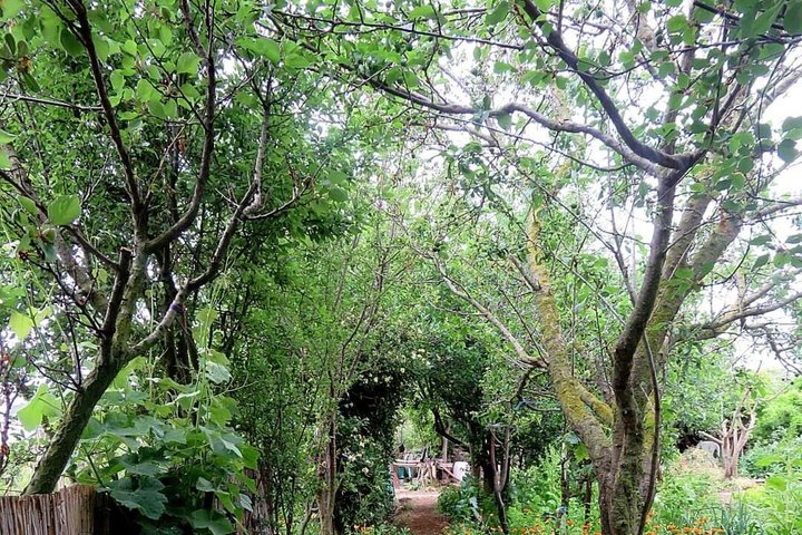 Jardins DE la Sagne EN Peril