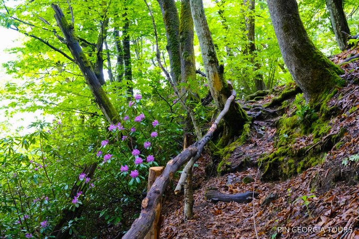 Private Hiking Tour to Machakhela National Park from Batumi