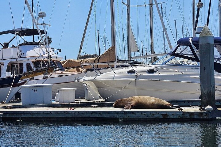 Pontoon WX E-Boat Rental in Ventura