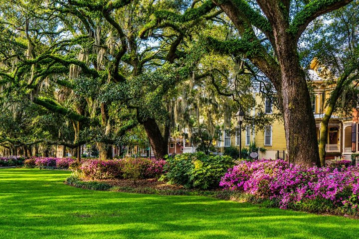 Hilton Head to Savannah Round-Trip Ferry Ticket