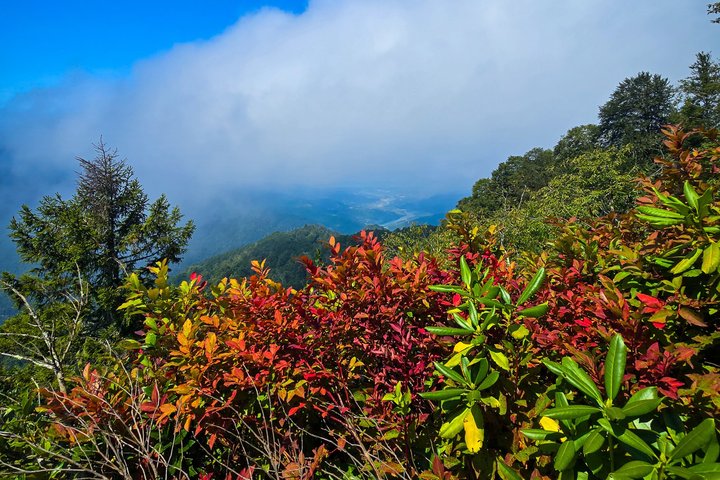 Private Hiking Tour to Machakhela National Park from Batumi
