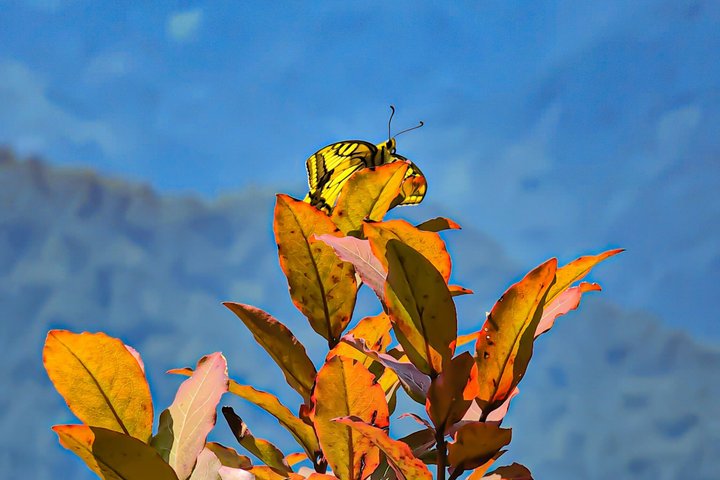 Private Hiking Tour to Machakhela National Park from Batumi