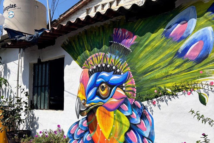 Sayulita Local Flavors