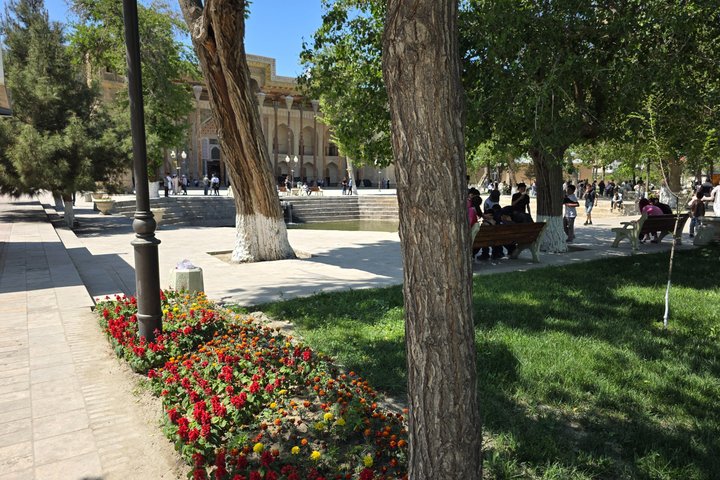 One-Day Private Tour in the Old Town of Bukhara