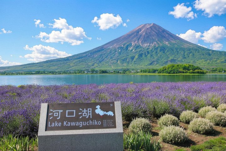 Mount Fuji Full Day Sightseeing Tour from Tokyo
