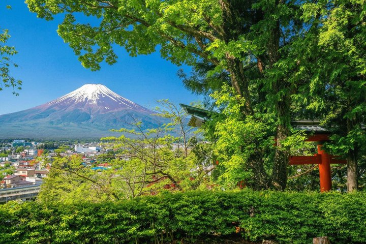 Mount Fuji Full Day Sightseeing Tour from Tokyo