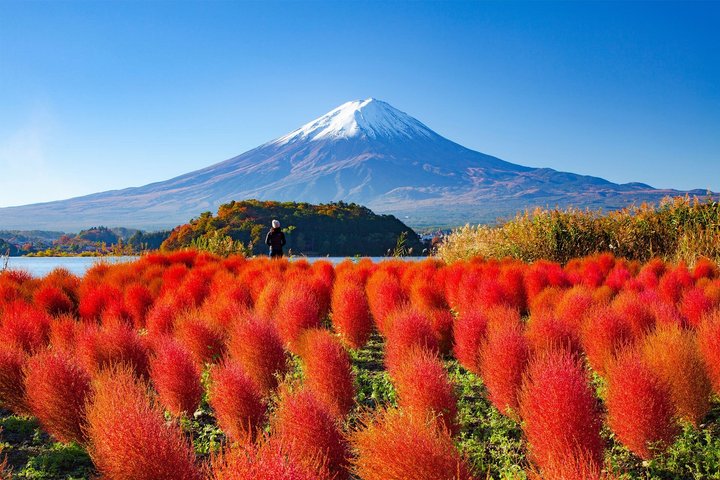 Mount Fuji Full Day Sightseeing Tour from Tokyo