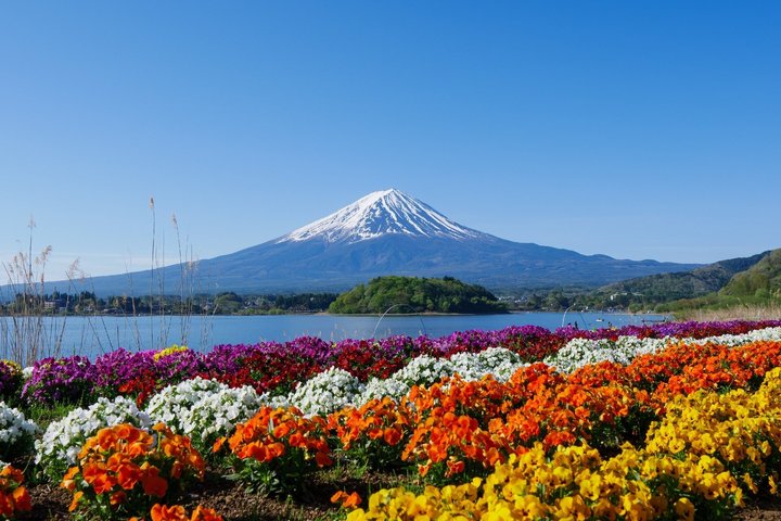Mount Fuji Full Day Sightseeing Tour from Tokyo