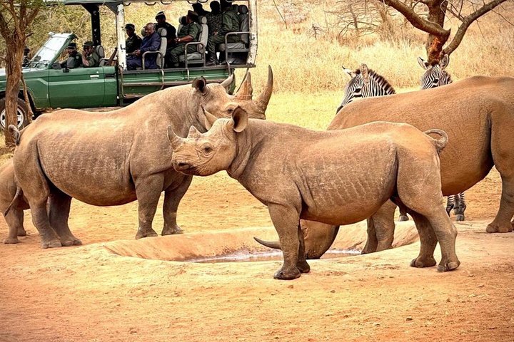 4 Day Tanzania Big Five Wildlife Safari Adventure