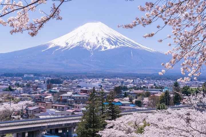 Mount Fuji Full Day Sightseeing Tour from Tokyo