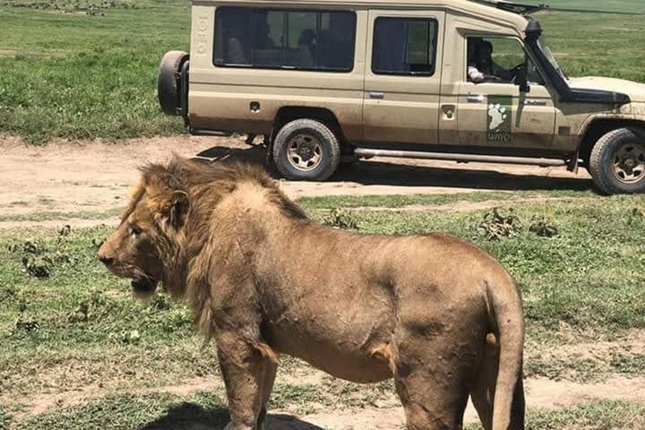 Tanzania Wildlife Safari 3 Day Tour Tarangire and Ngorongoro