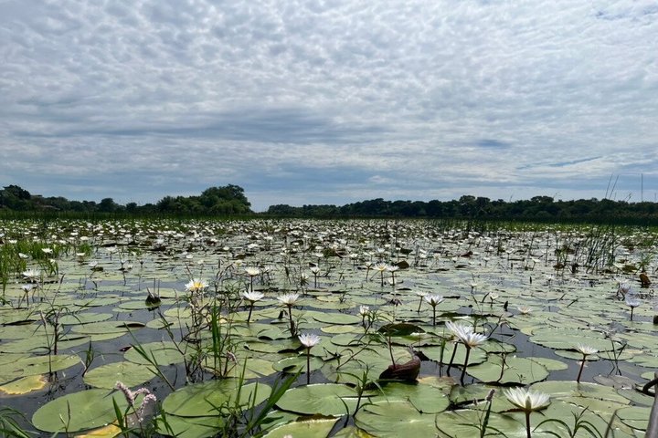 Guided Mokoro Tours in the Maun Educational Park