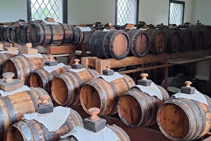 Parmigiano Reggiano & Aceto Balsamico tour with lunch