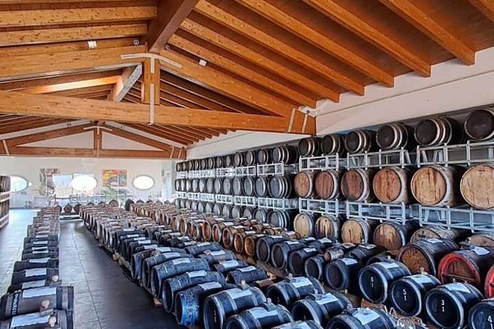 Parmigiano Reggiano & Aceto Balsamico tour with lunch