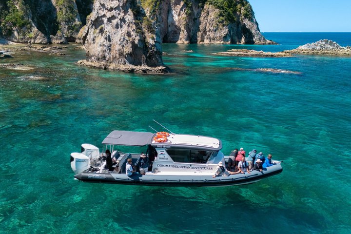 Coromandel Adventure and Wildlife Boat Tour to Aldermen Islands