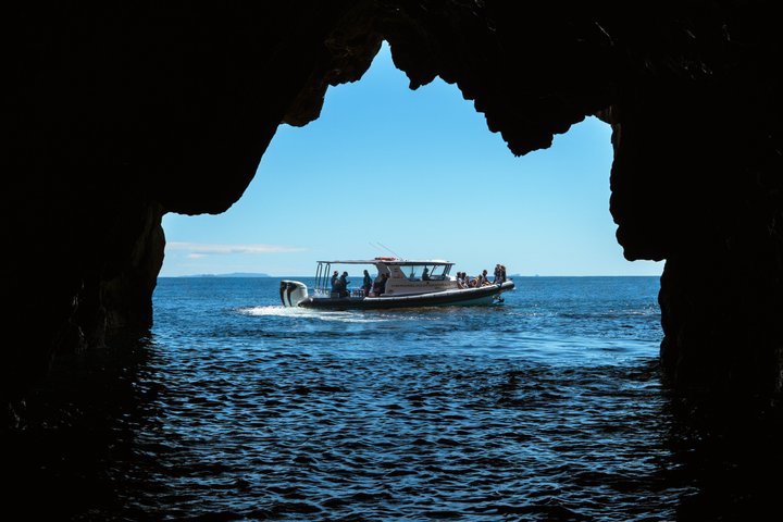Coromandel Adventure and Wildlife Boat Tour to Aldermen Islands