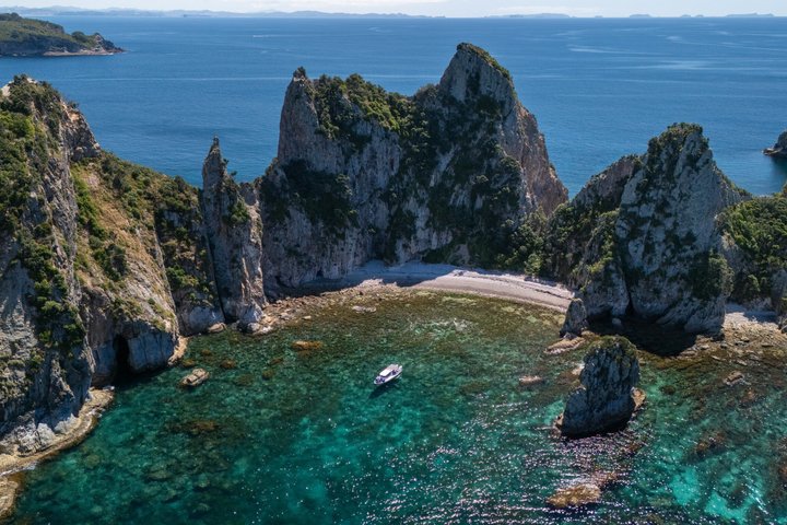 Coromandel Adventure and Wildlife Boat Tour to Aldermen Islands