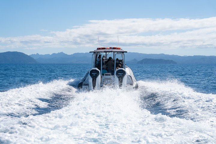 Coromandel Adventure and Wildlife Boat Tour to Aldermen Islands