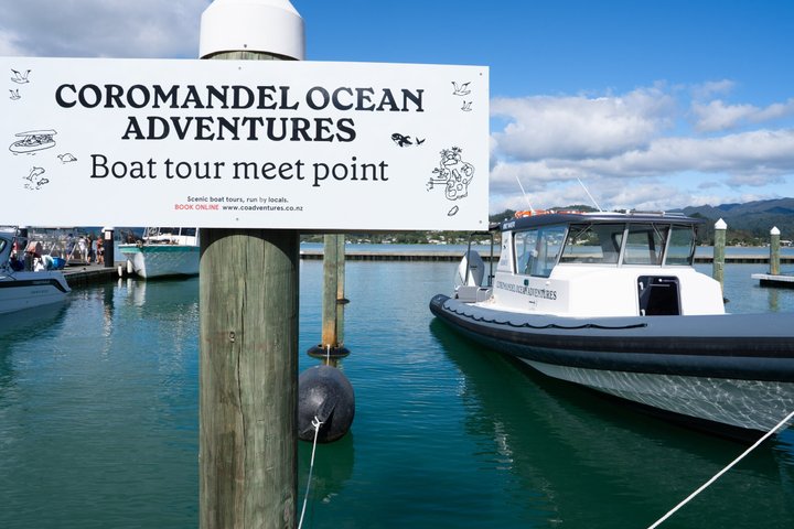Coromandel Adventure and Wildlife Boat Tour to Aldermen Islands