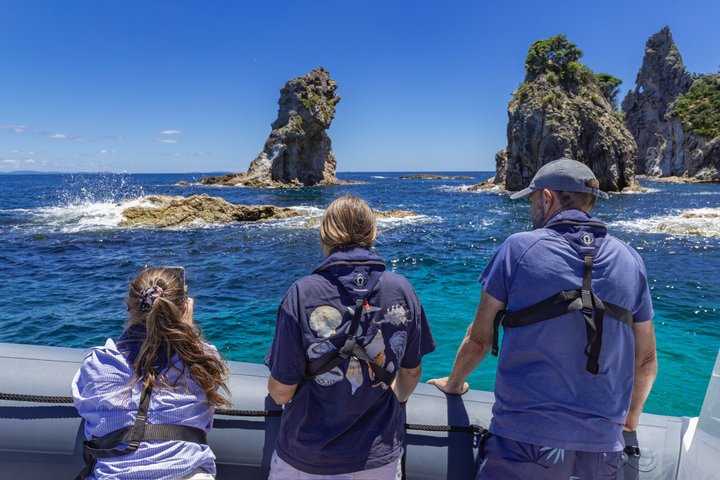 Coromandel Adventure and Wildlife Boat Tour to Aldermen Islands