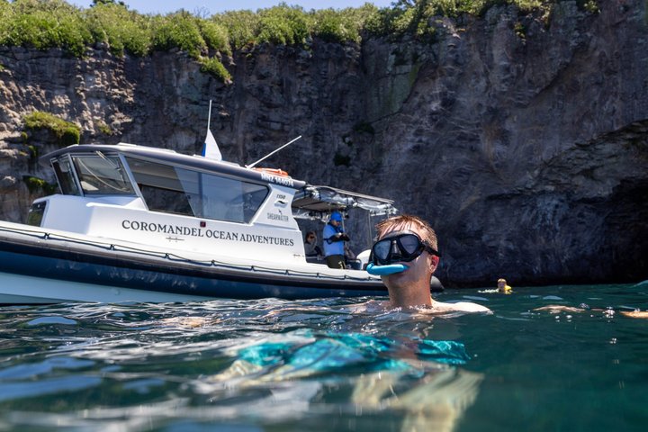 Coromandel Adventure and Wildlife Boat Tour to Aldermen Islands