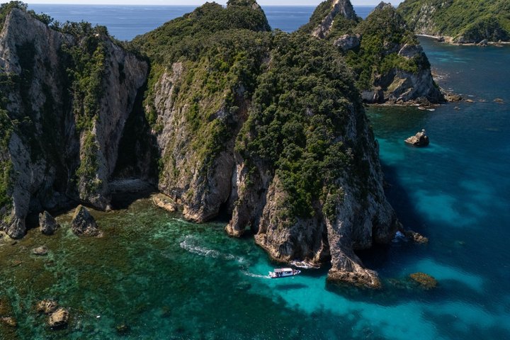 Coromandel Adventure and Wildlife Boat Tour to Aldermen Islands