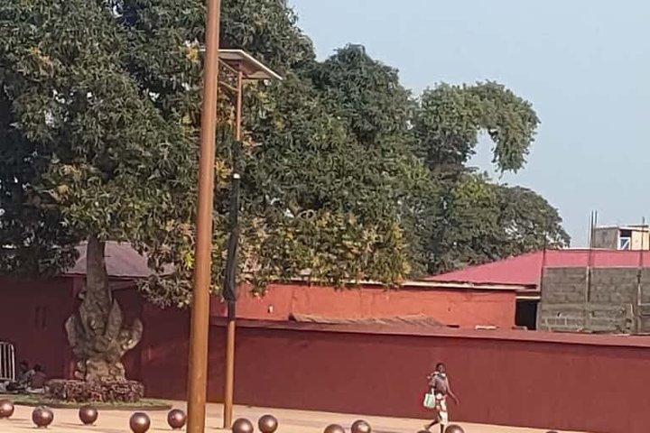 Excursion to Ouidah heritage, pythons and voodoo