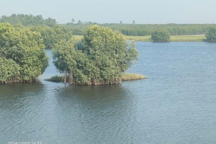 Excursion to Ouidah heritage, pythons and voodoo