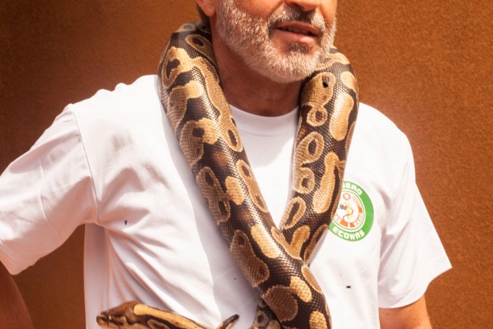Excursion to Ouidah heritage, pythons and voodoo