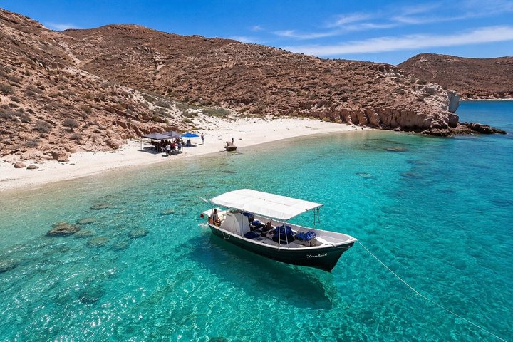 Espiritu Santo Island Tour with Sea Lion Snorkeling