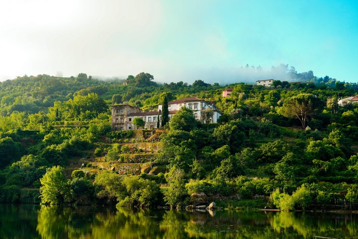 3H Pinhão to Régua Douro Cruise with Lock Wine and Tapas
