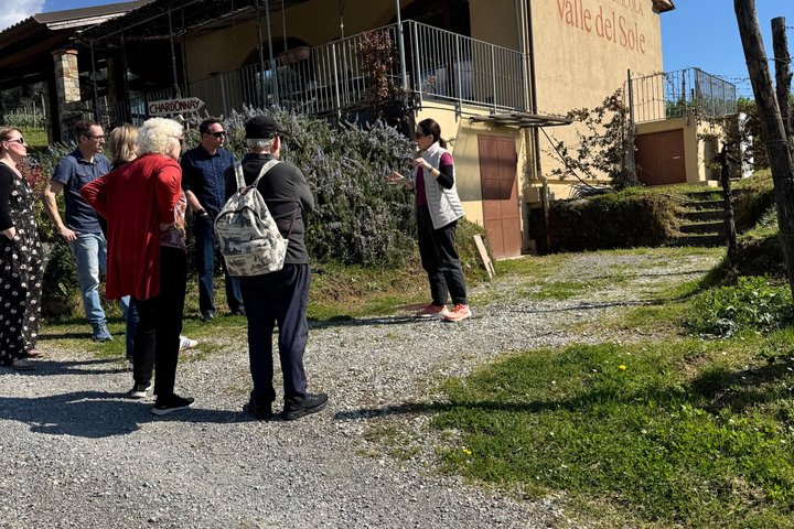 Private wine tour on the magical hills of Lucca with sommelier