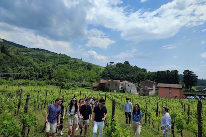 Private wine tour on the magical hills of Lucca with sommelier