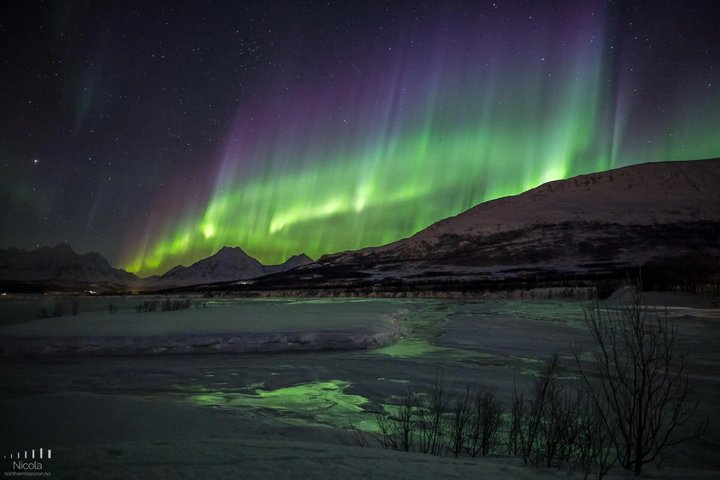 Tromsø: Small Group | Northern Lights Chase + All-Inclusive
