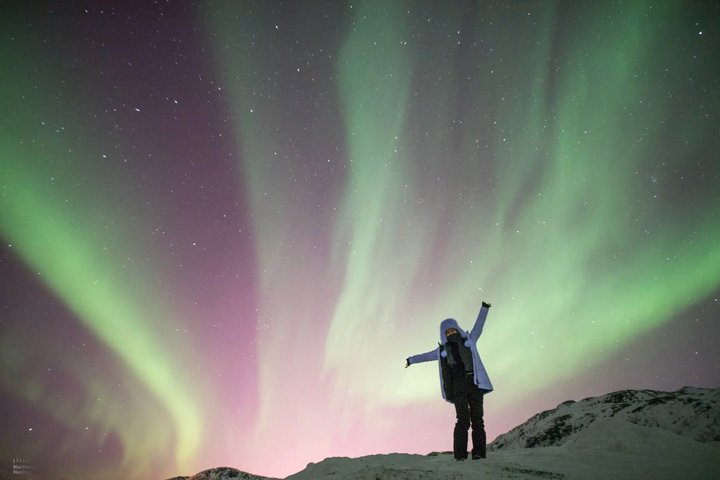 Tromsø: Small Group | Northern Lights Chase + All-Inclusive