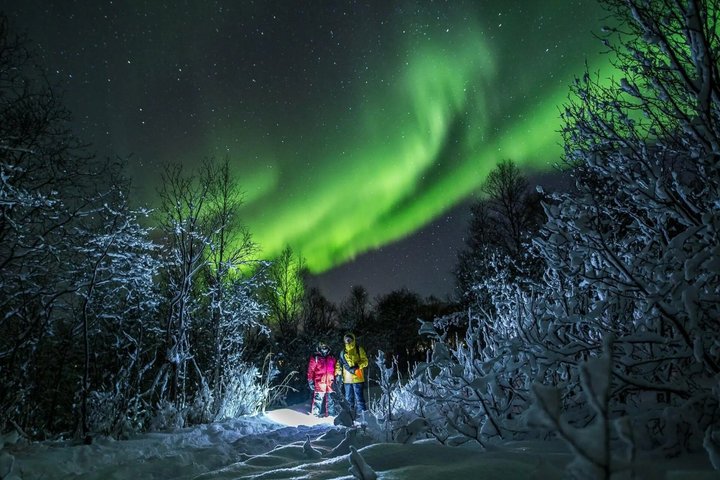 Tromsø: Small Group | Northern Lights Chase + All-Inclusive