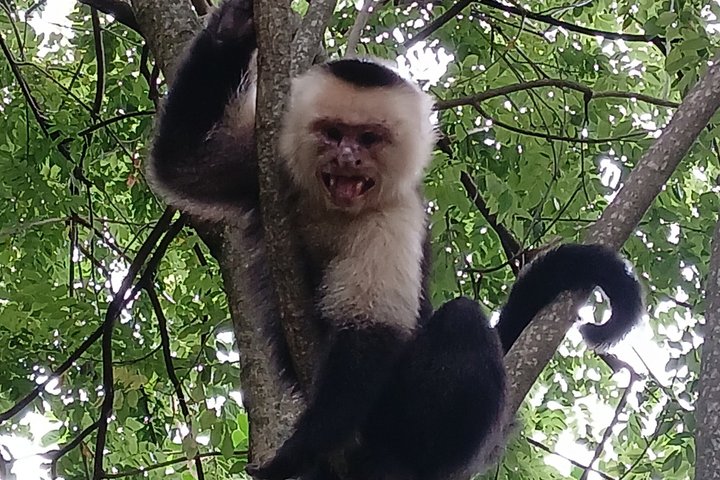 Ometepe trekking - Volcano Maderas By Happy Tours