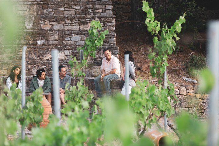 Ikaria's wine heritage