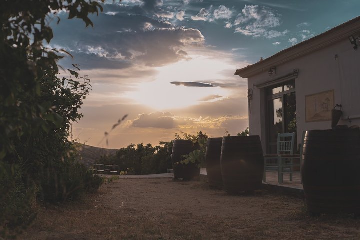 Ikaria's wine heritage