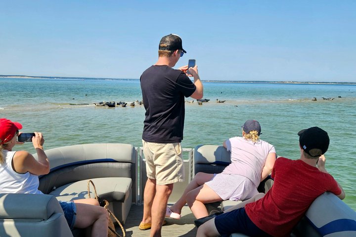 Wellfleet Harbor Seal Cruise Small Group Boat Tour on Cape Cod