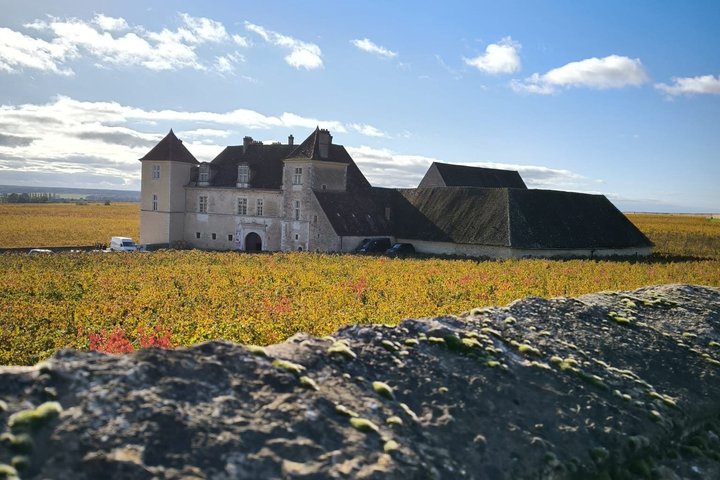 From Dijon Afternoon Côte de Nuits and Tasting