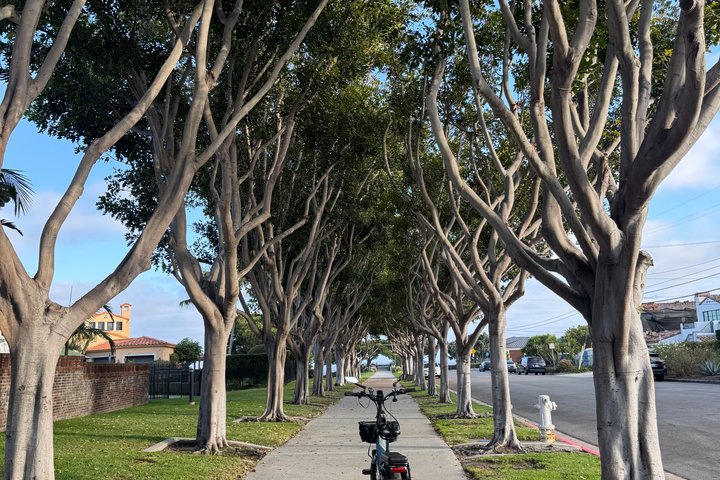 Guided eBike Tour Along Dana Point Coastline