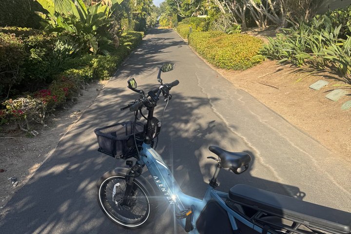 Guided eBike Tour Along Dana Point Coastline