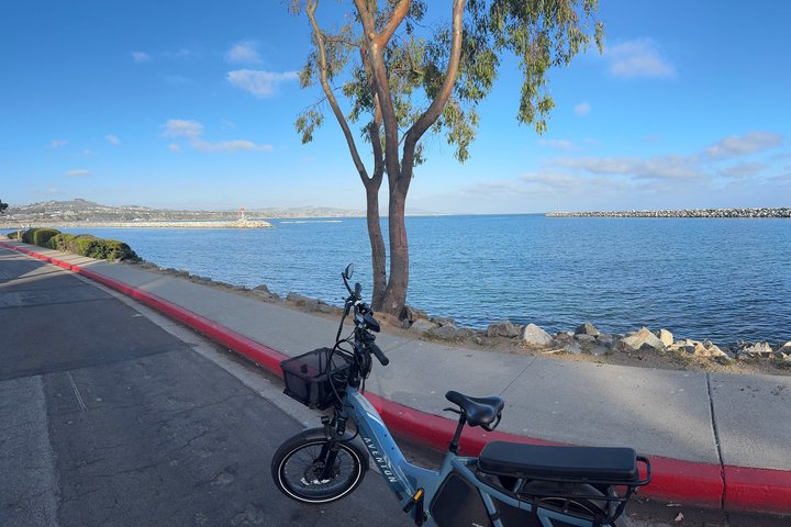 Guided eBike Tour Along Dana Point Coastline