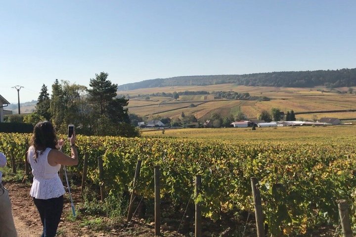 From Dijon Afternoon Côte de Nuits and Tasting